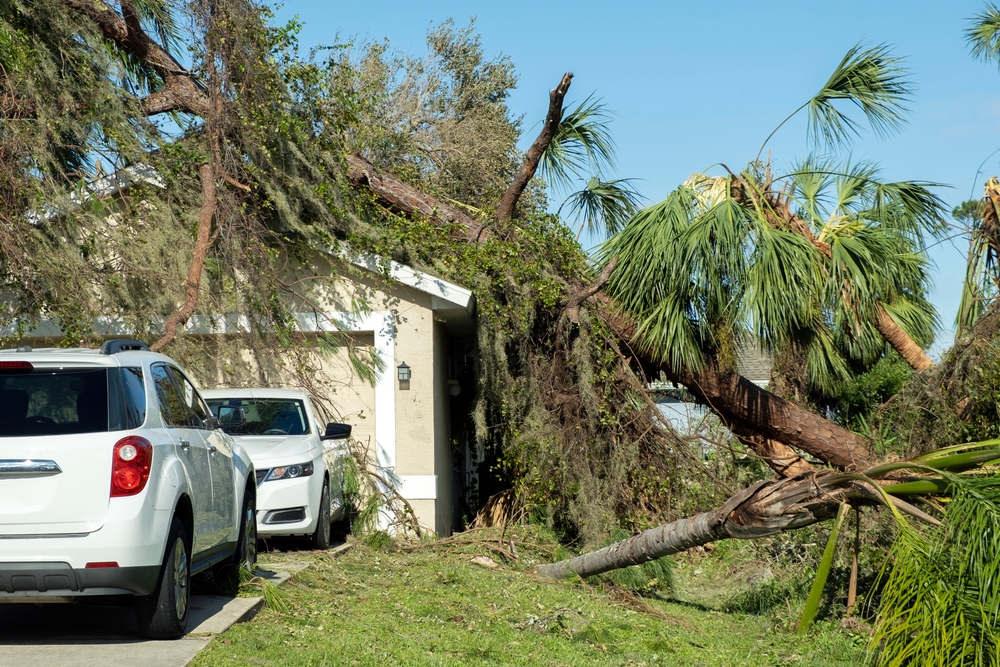 tree on roof of house from a hurricane